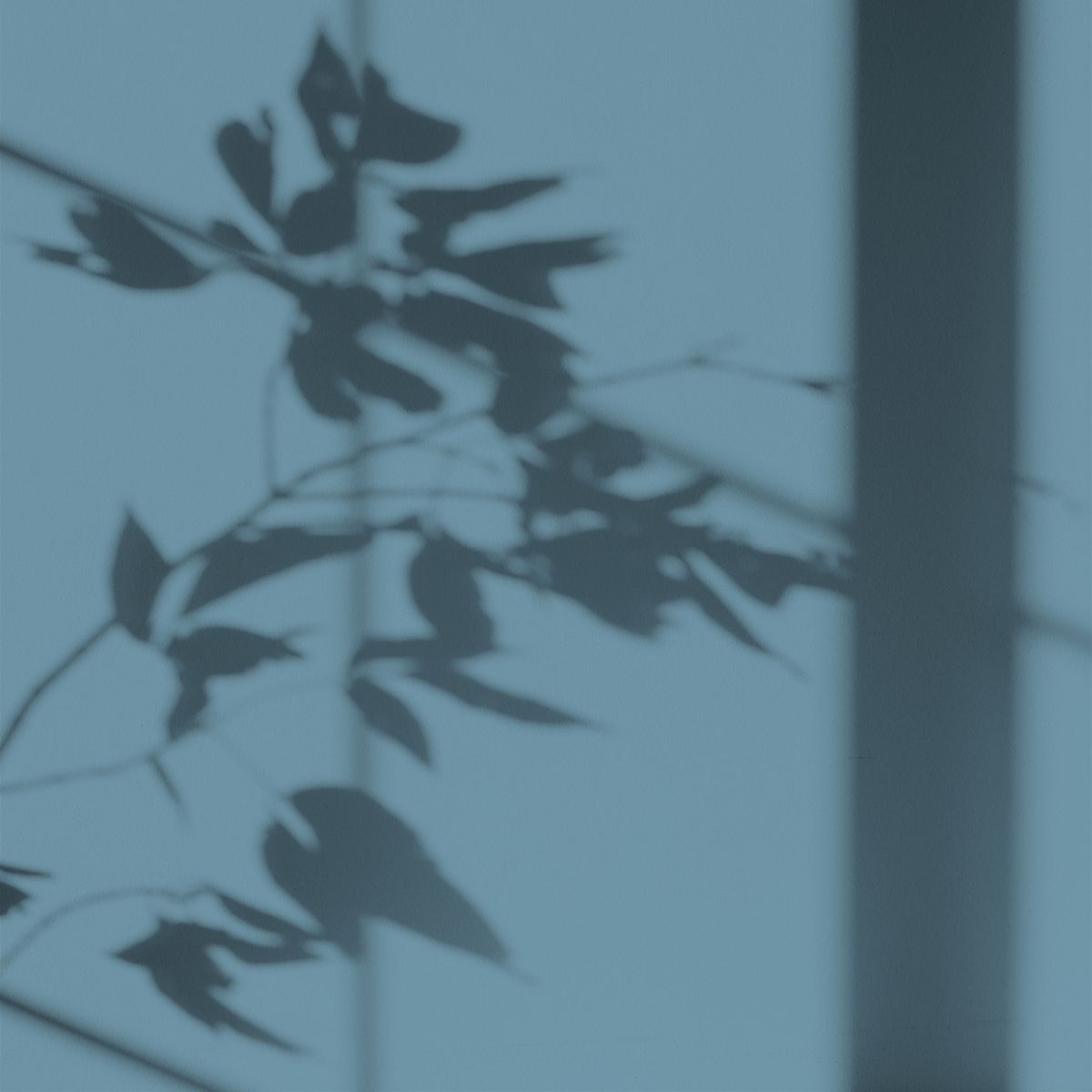 Algo Eco-Friendly Paint - Porquerolles Blue