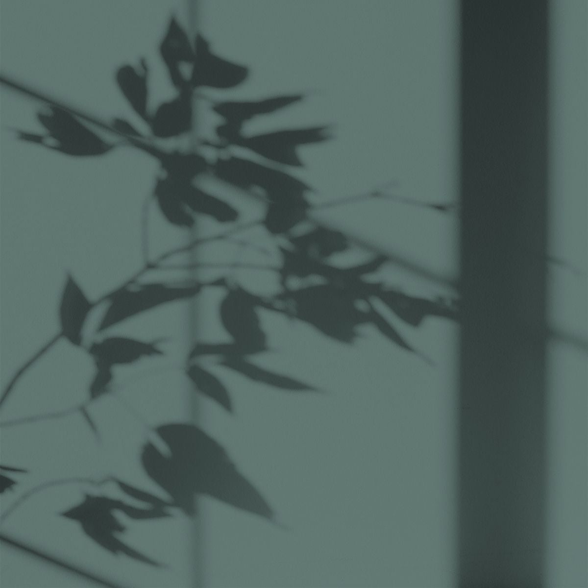 Algo Eco-Friendly Paint - Coquet Blue Green