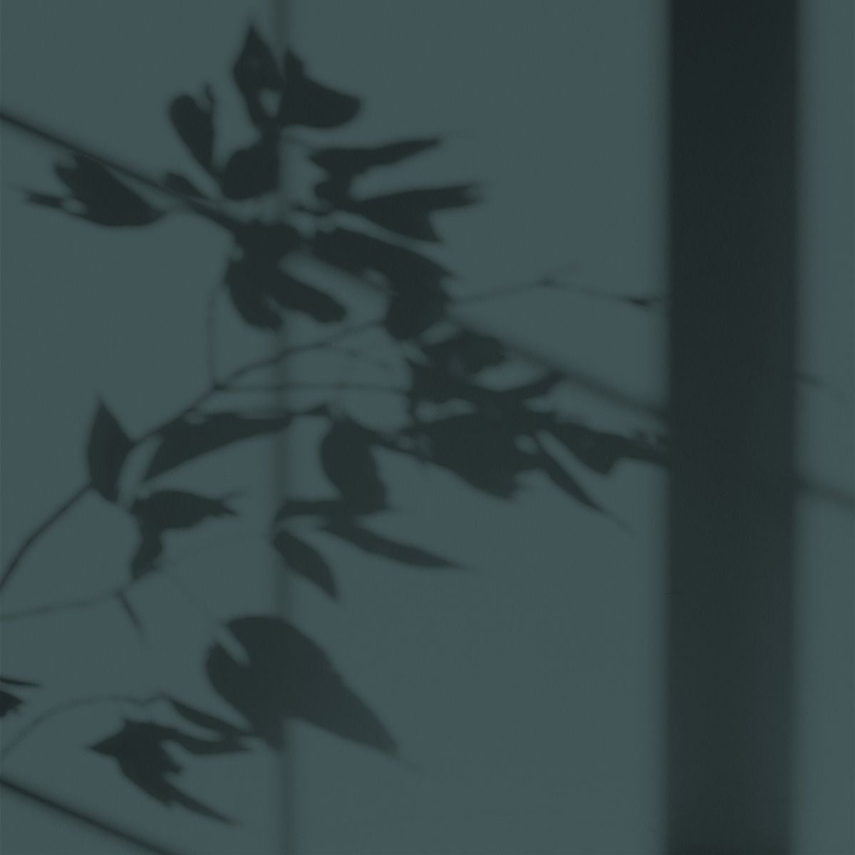Algo Eco-Friendly Paint - Mullein Blue Green