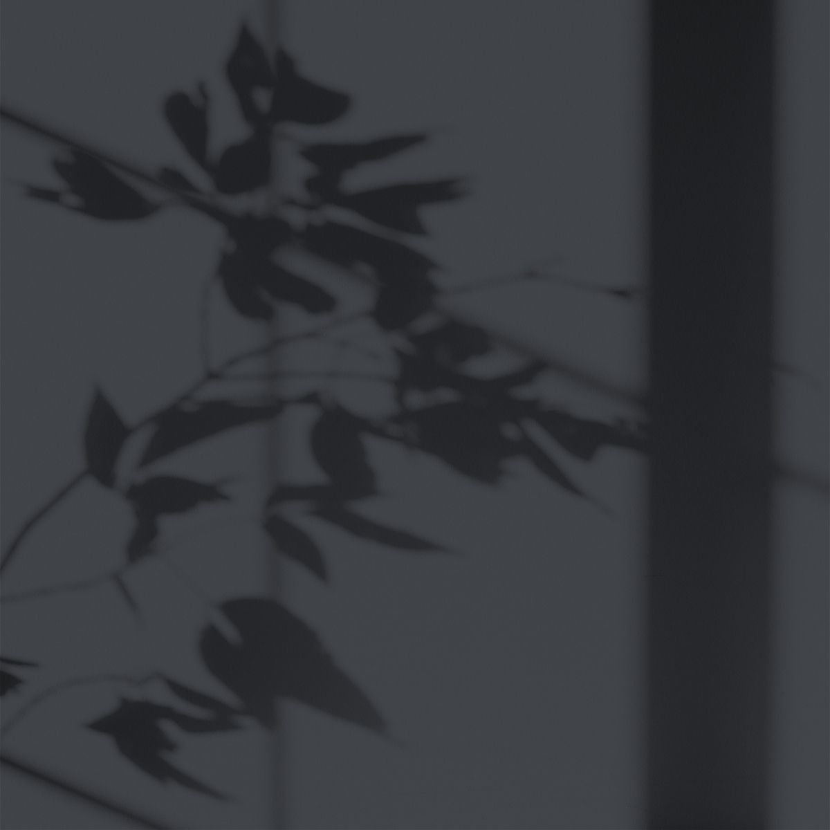 Algo Eco-Friendly Paint - Dark Summer Sky