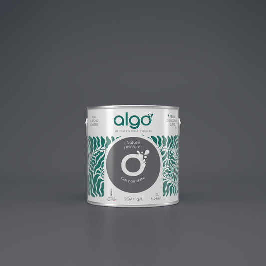 Algo Eco-Friendly Paint - Dark Summer Sky