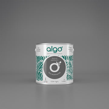 Algo Eco-Friendly Paint - Anthracite Grey