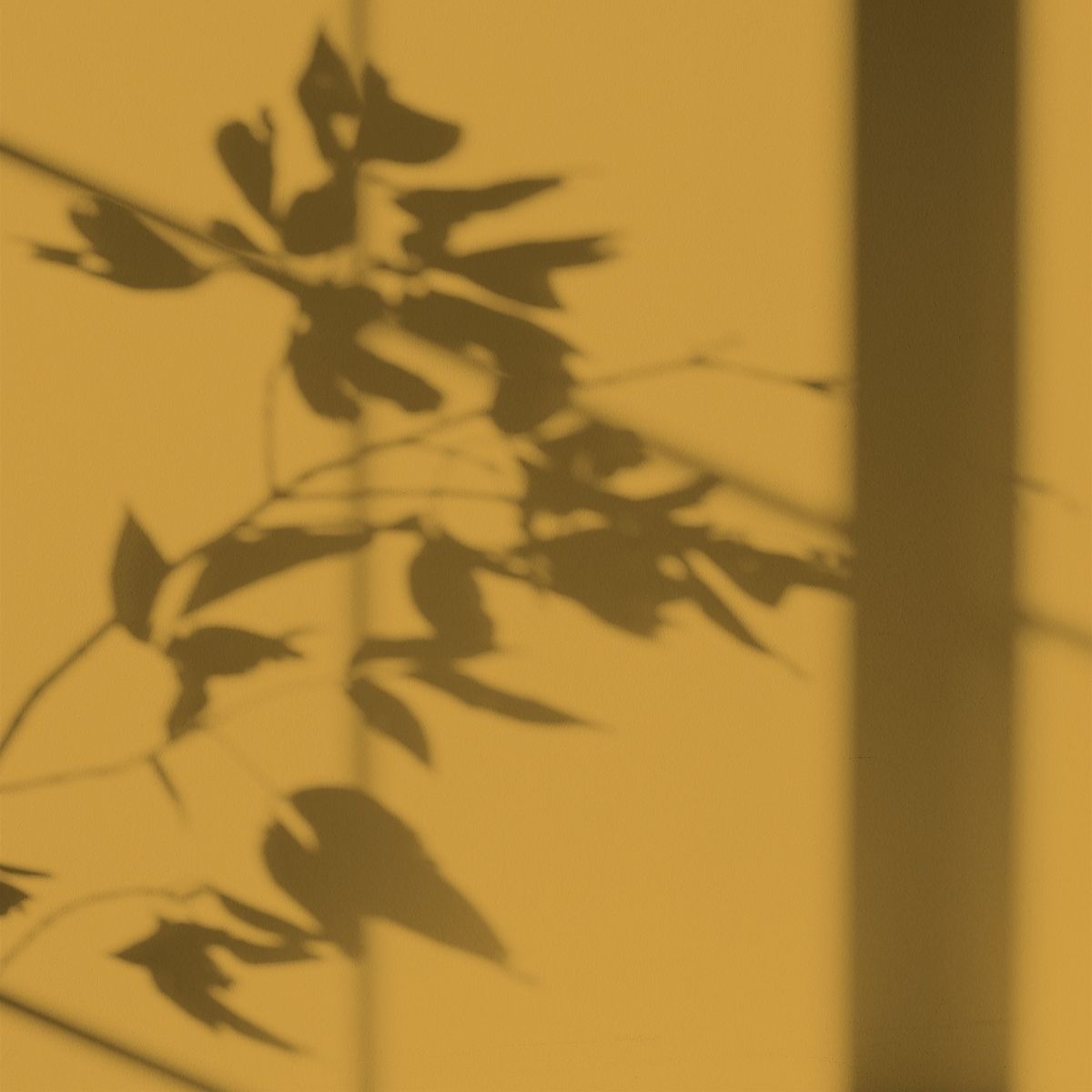 Algo Eco-Friendly Paint - Sunny Lemon Yellow