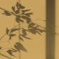 Algo Eco-Friendly Paint - Quince Yellow