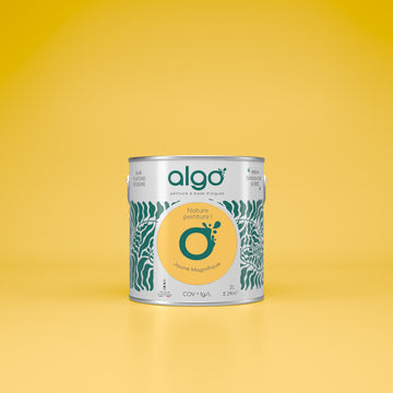 Algo Eco-Friendly Paint - Magnificent Yellow