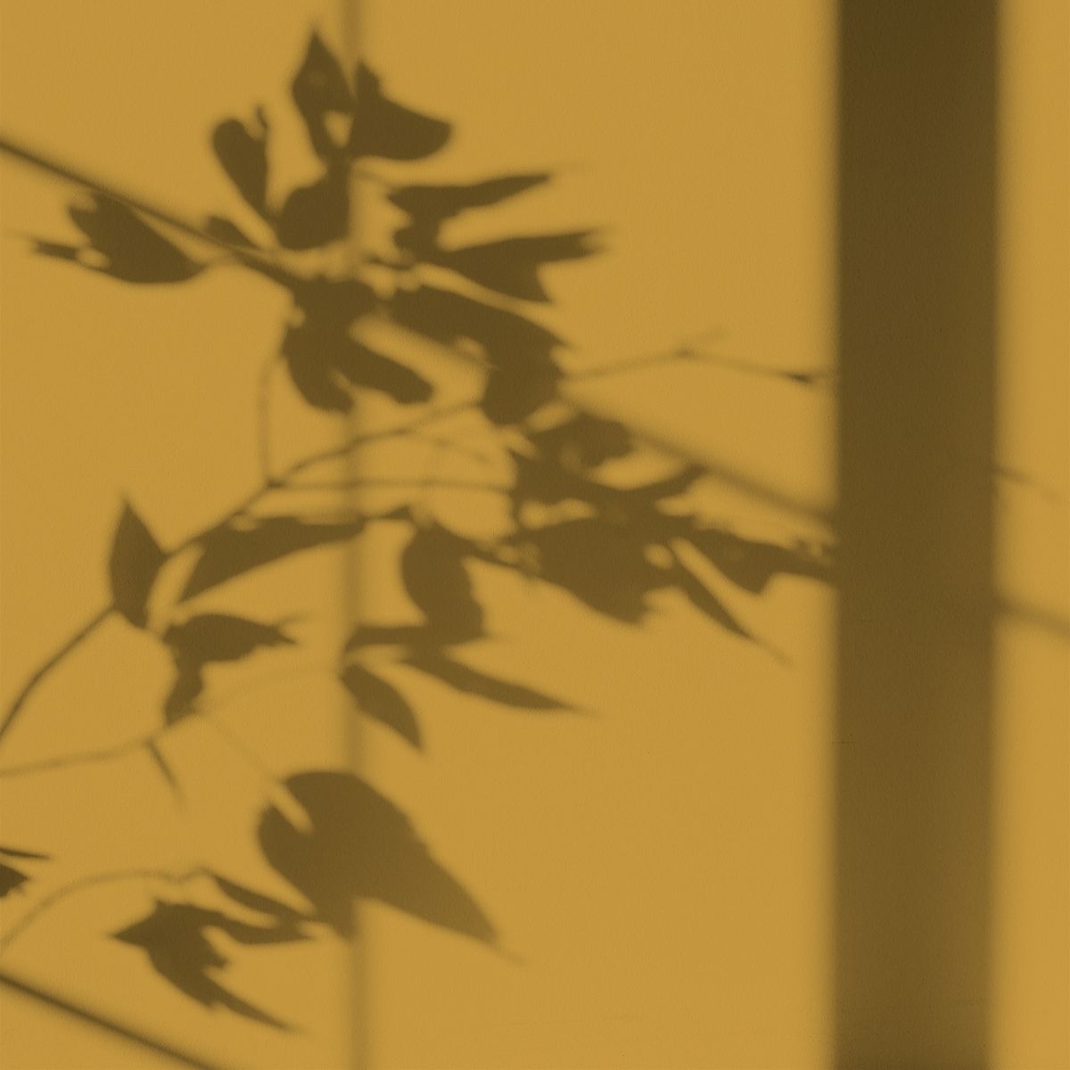 Algo Eco-Friendly Paint - Superbloom Yellow