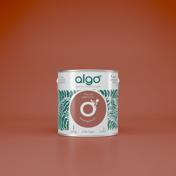 Algo Eco-Friendly Paint - Terracotta Madagascar