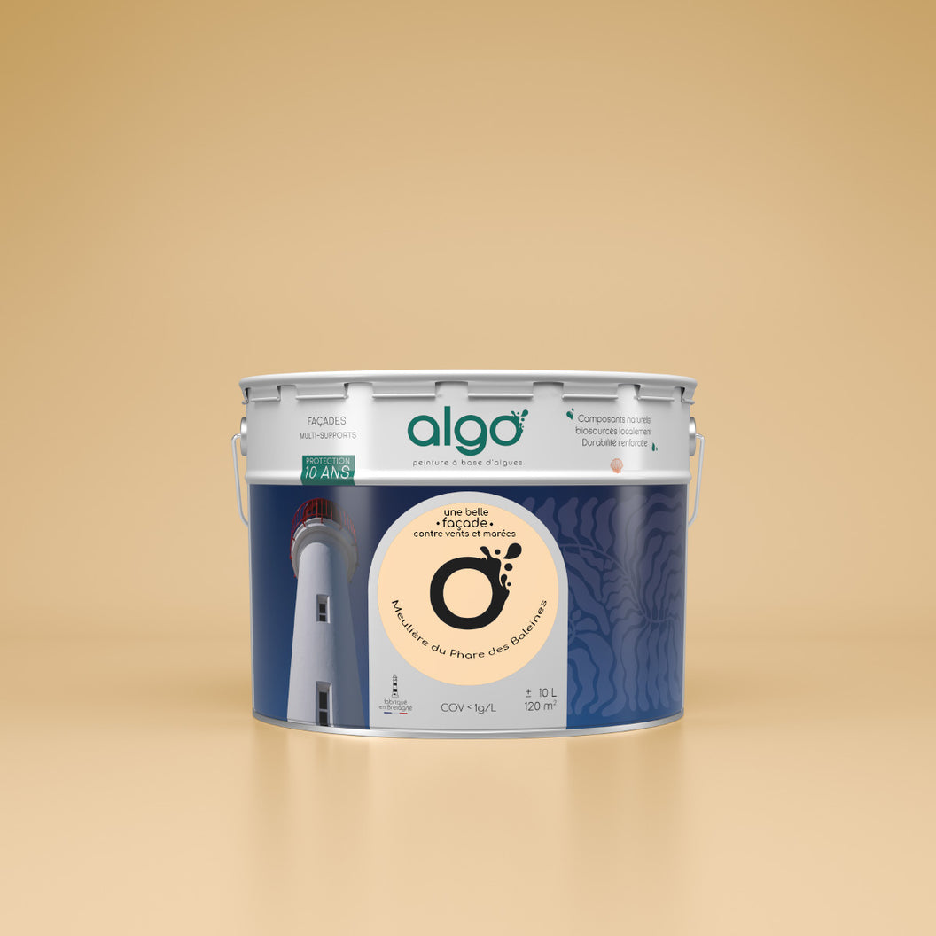 Exterior facade paint Algo Yellow - based on scallops Meulière from the Phare des Baleines