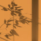 Algo Eco-Friendly Paint - Mischievous Fox Orange