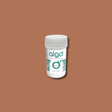 Algo Brown Gingerbread Eco-Friendly Paint Tester