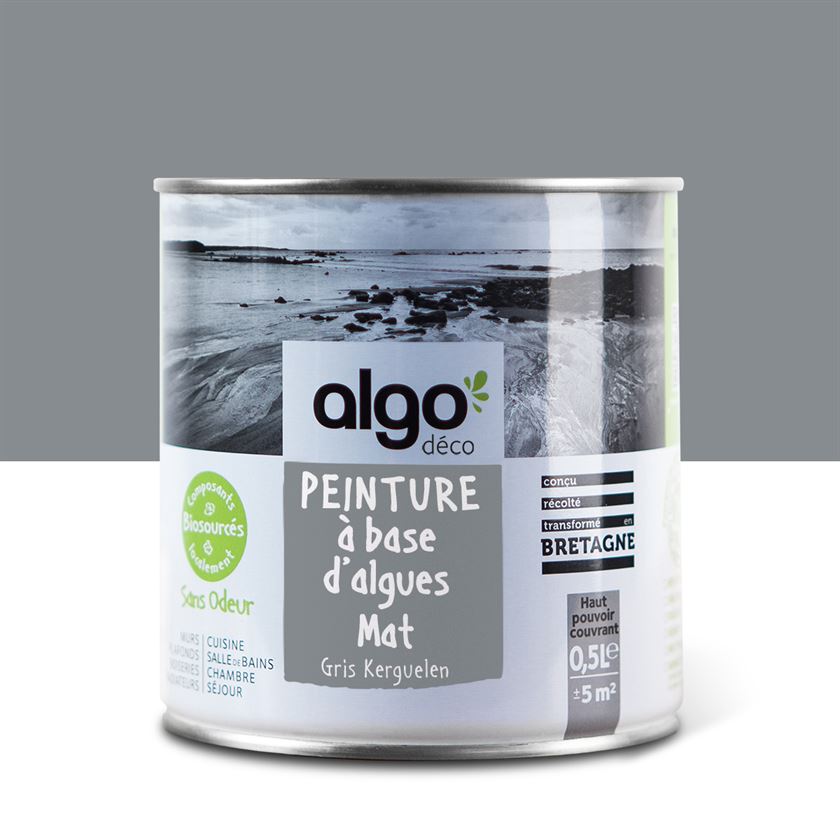 Algo ecological paint - Kerguelen Grey