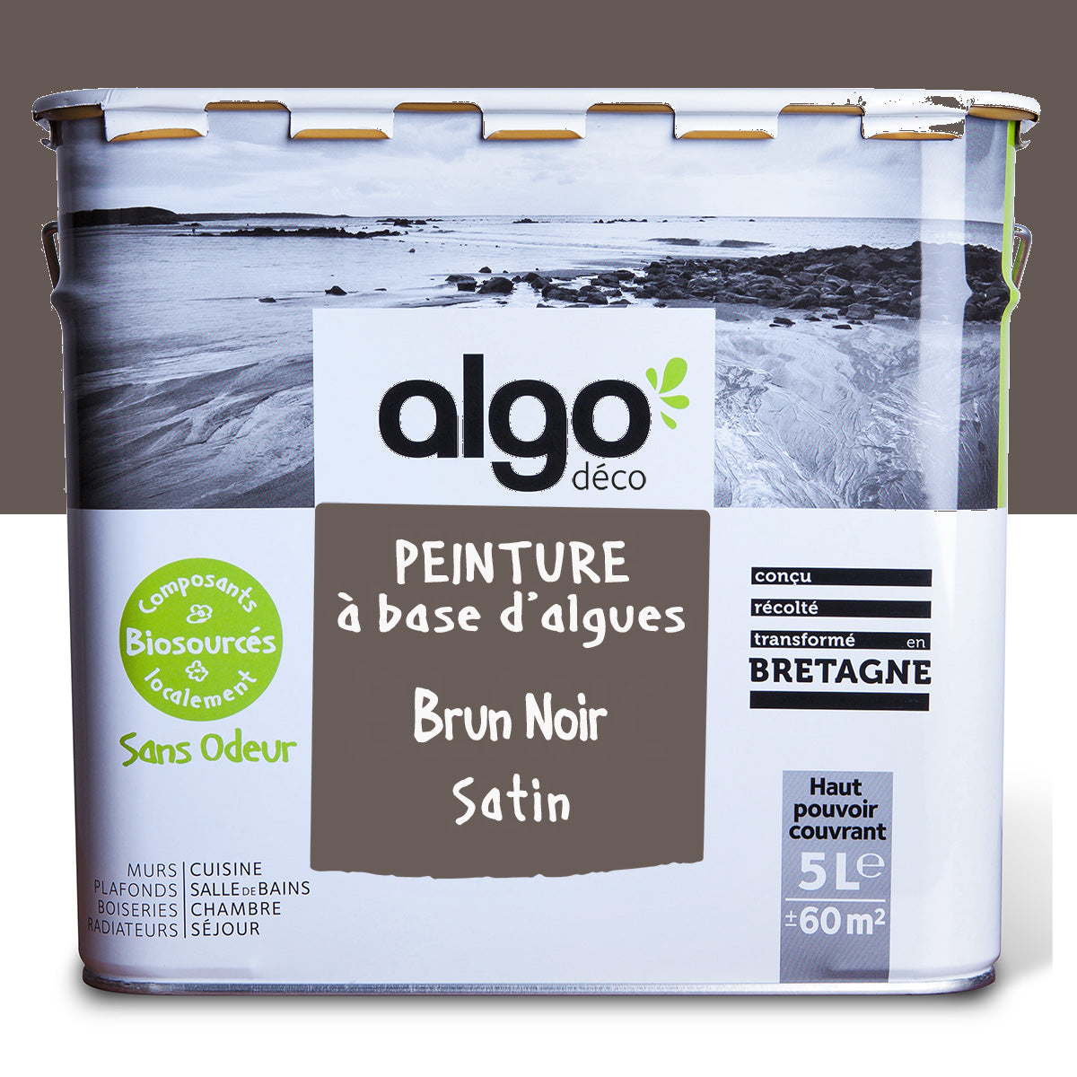Algo Eco-Friendly Paint - Black Brown