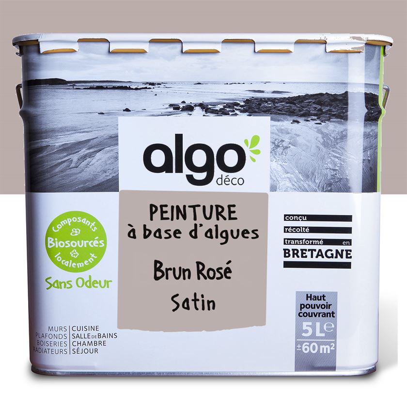 Algo Eco-Friendly Paint - Pinkish Brown