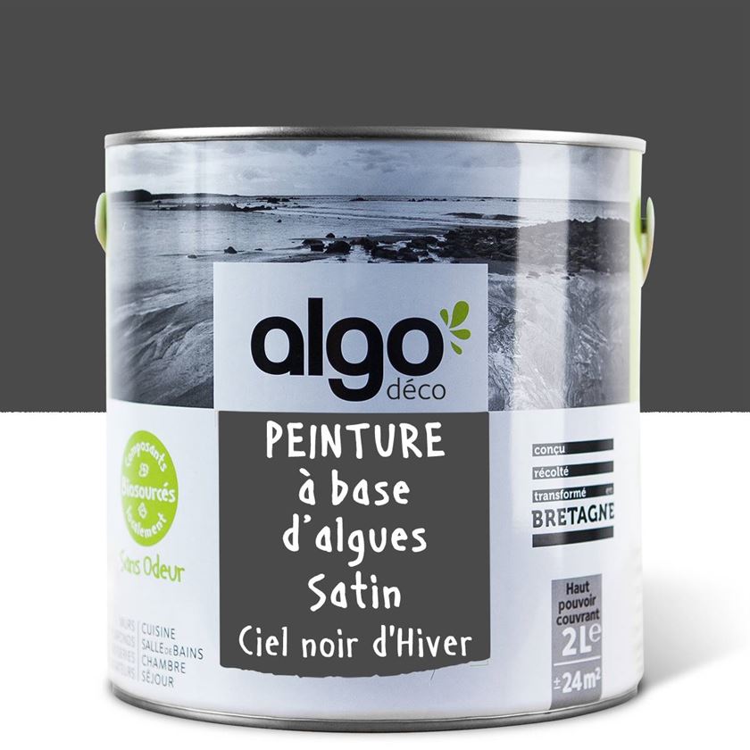 Algo Eco-Friendly Paint - Dark Winter Sky