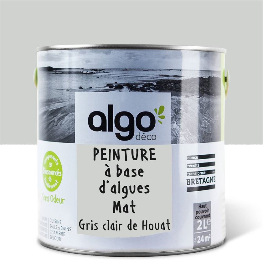 Algo Eco-Friendly Paint - Light Grey by Houat