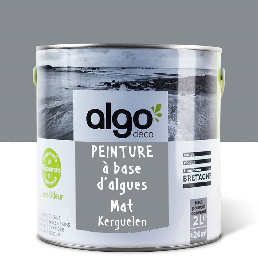 Algo ecological paint - Kerguelen Grey