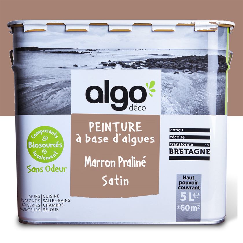 Peinture écologique Algo - Marron Praliné