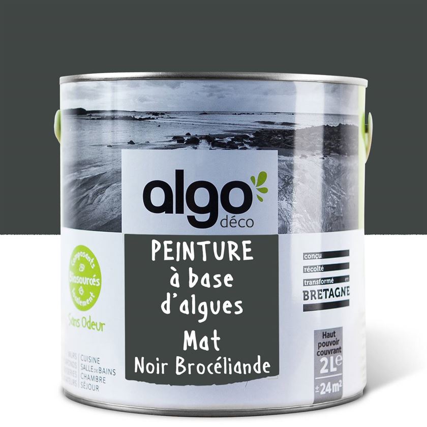 Algo Eco-Friendly Paint - Brocéliande Black