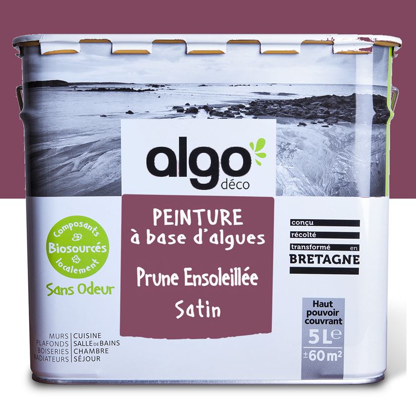 Algo Eco-Friendly Paint - Sunny Plum Mauve