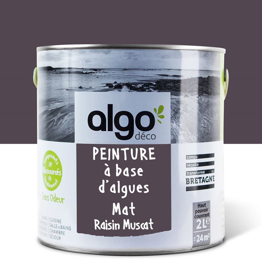 Algo Eco-Friendly Paint - Muscat Grape Violet