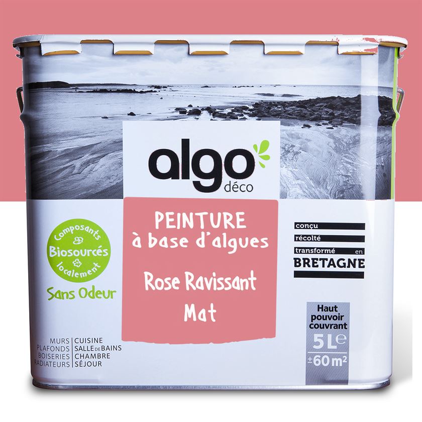 Algo Eco-Friendly Paint - Ravishing Pink