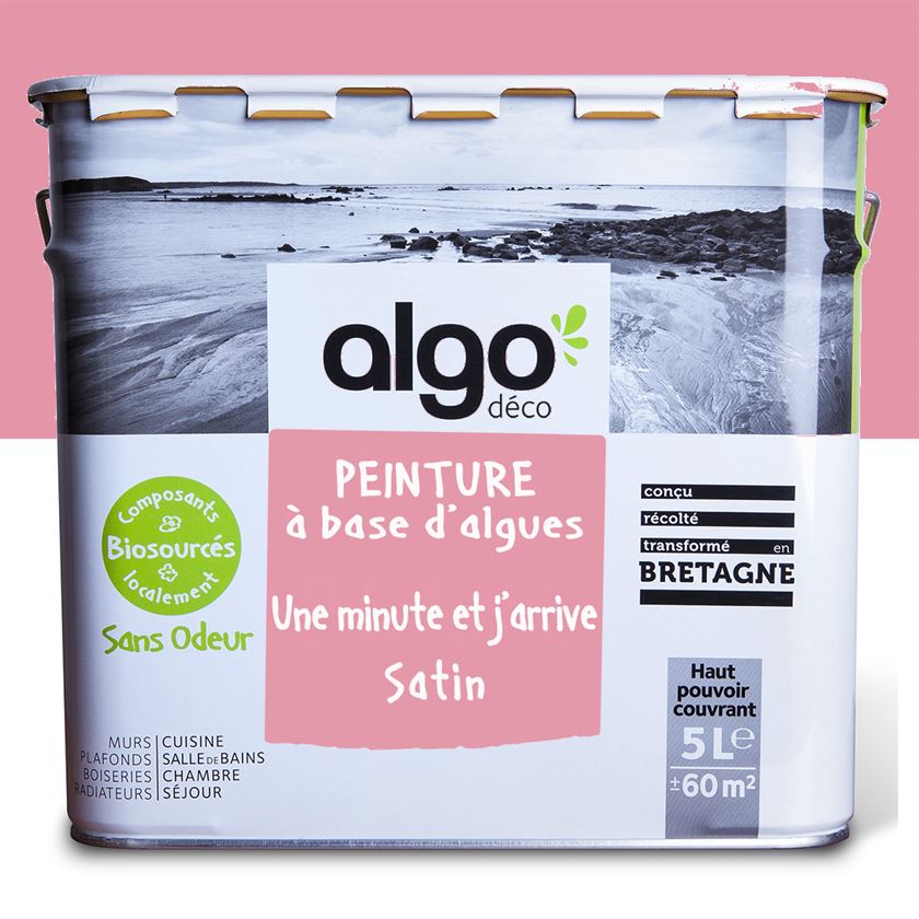 Algo Eco-Friendly Paint - Pink One minute and I'll be there