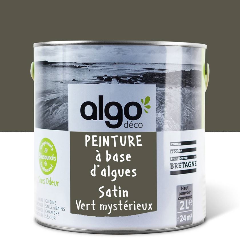 Algo Eco-Friendly Paint - Mysterious Green