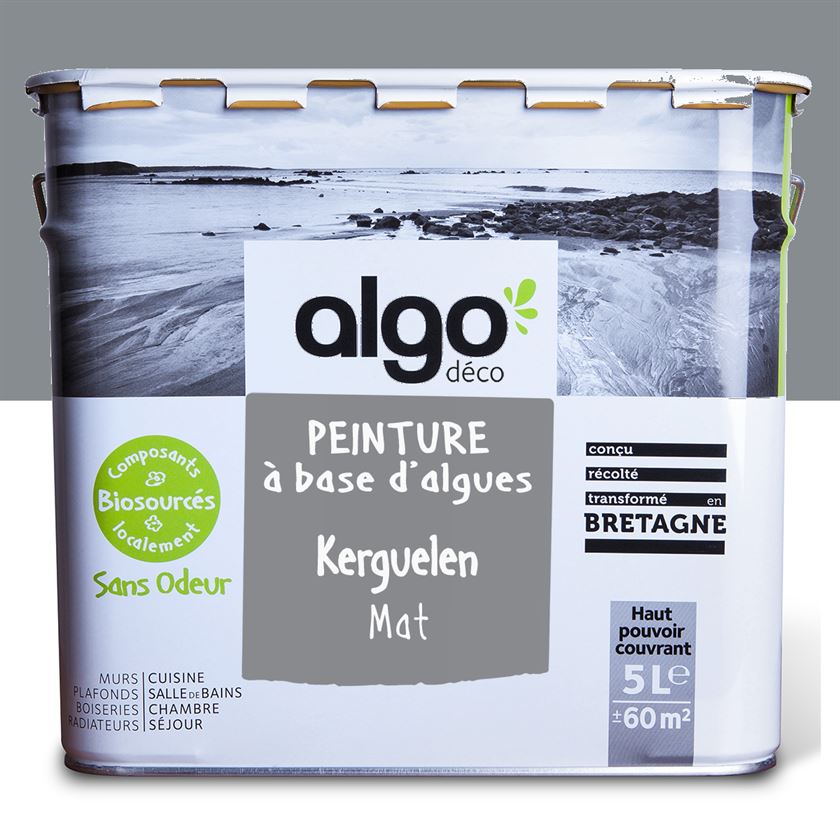 Algo ecological paint - Kerguelen Grey