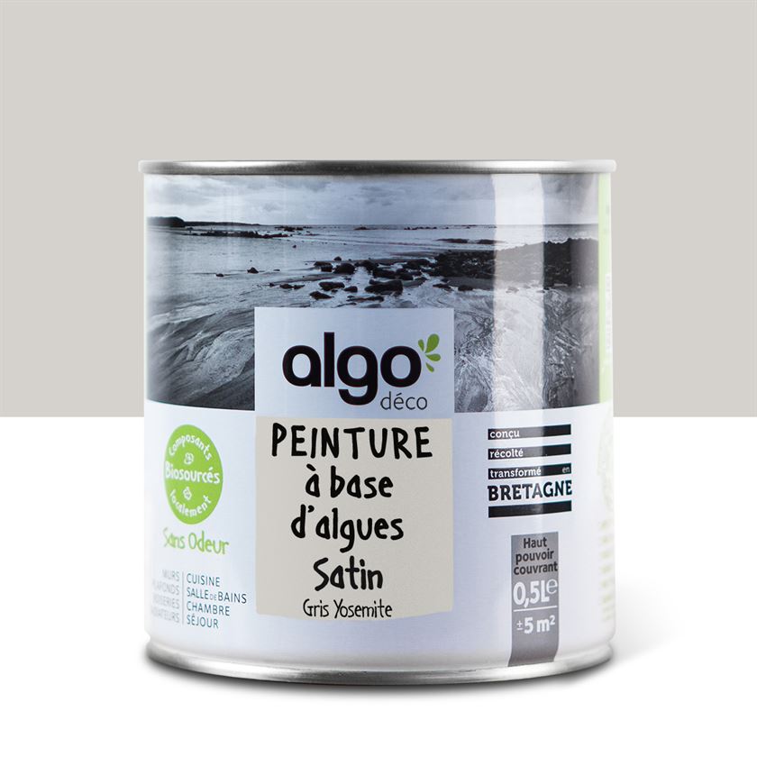 Algo Eco-Friendly Paint - Yosemite Gray