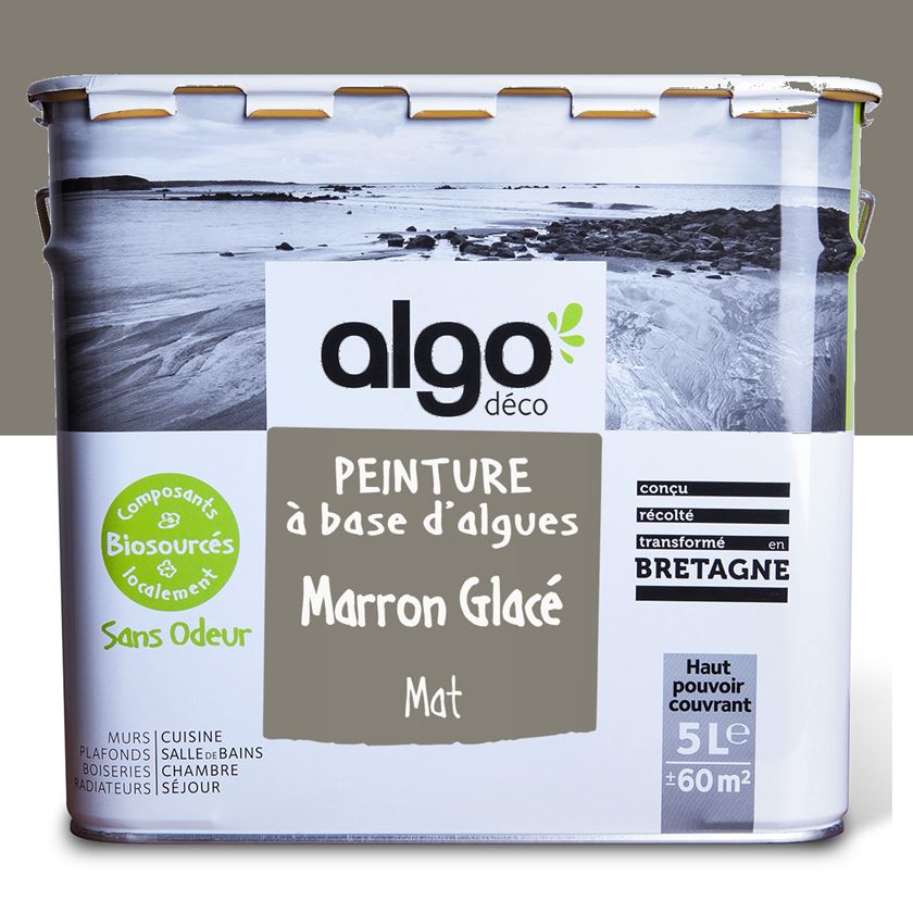 Algo Eco-Friendly Paint - Iced Brown