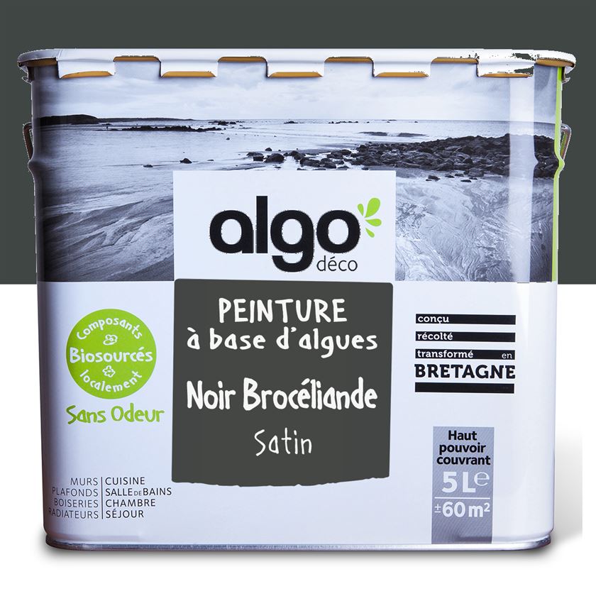 Algo Eco-Friendly Paint - Brocéliande Black