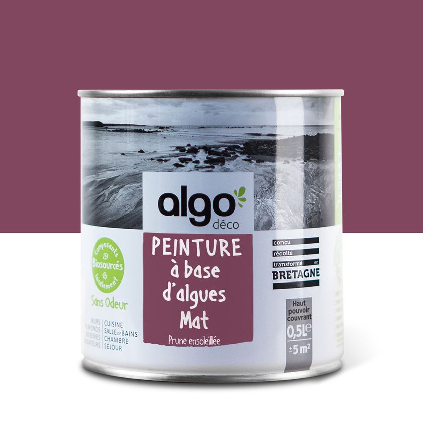 Algo Eco-Friendly Paint - Sunny Plum Mauve
