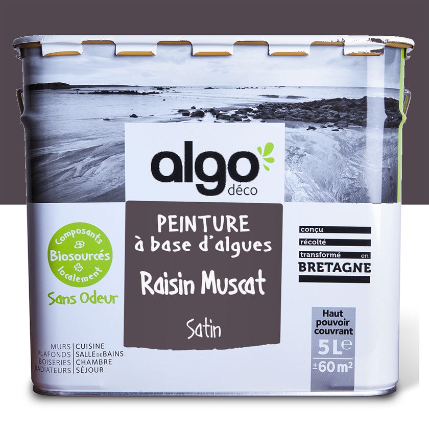 Algo Eco-Friendly Paint - Muscat Grape Violet