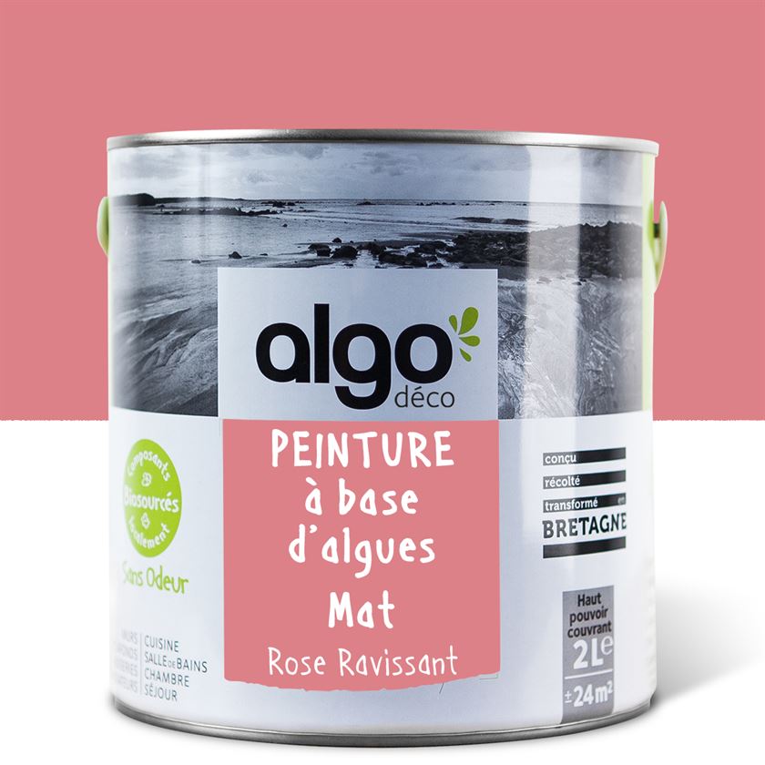 Algo Eco-Friendly Paint - Ravishing Pink