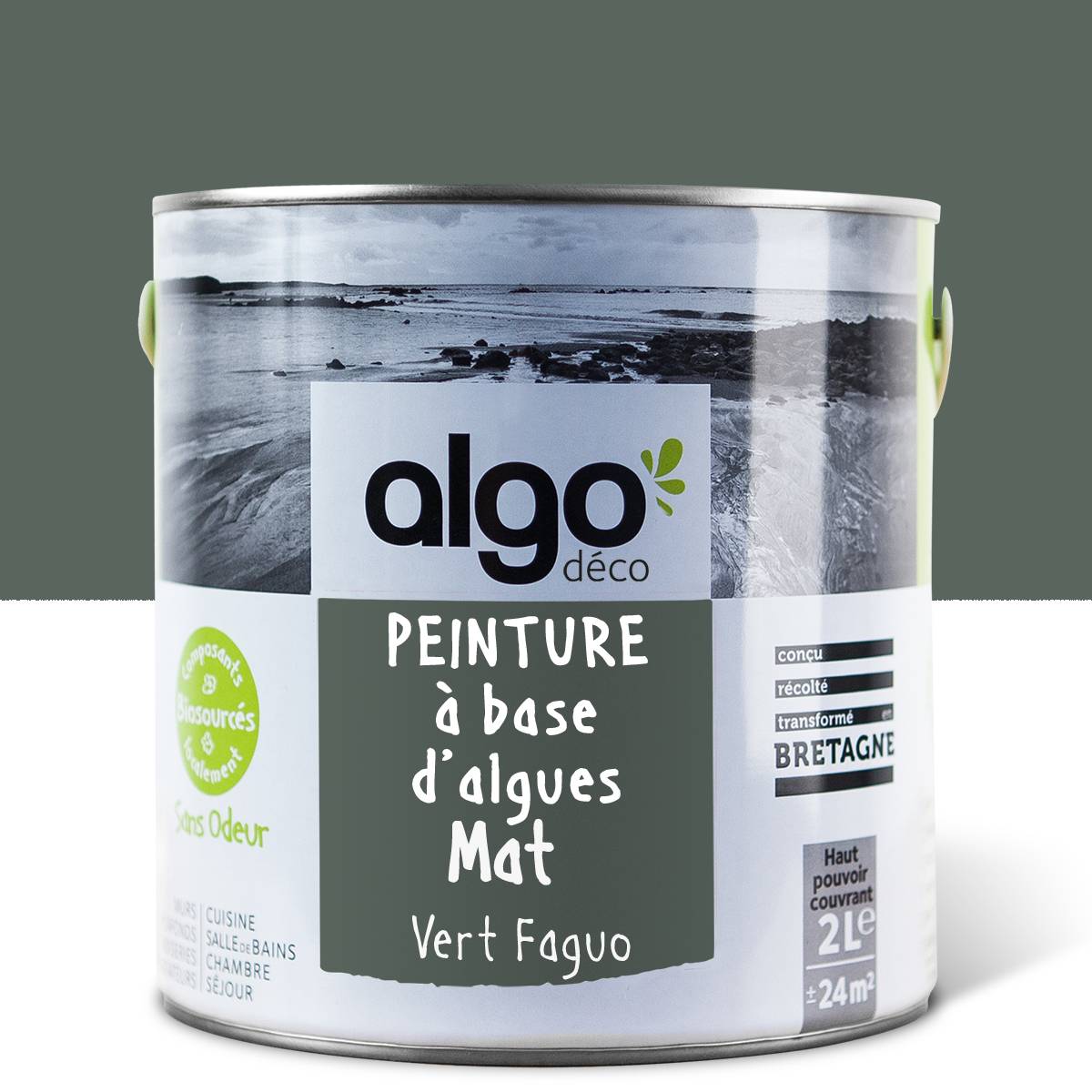 Algo Eco-Friendly Paint - Faguo Green FA06223