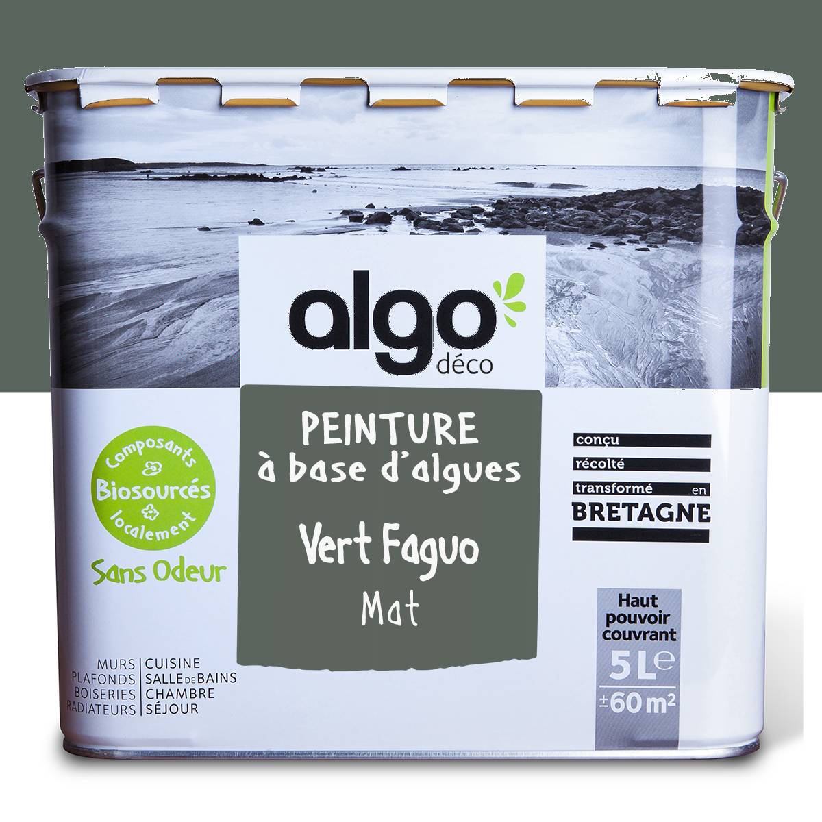 Algo Eco-Friendly Paint - Faguo Green FA06223