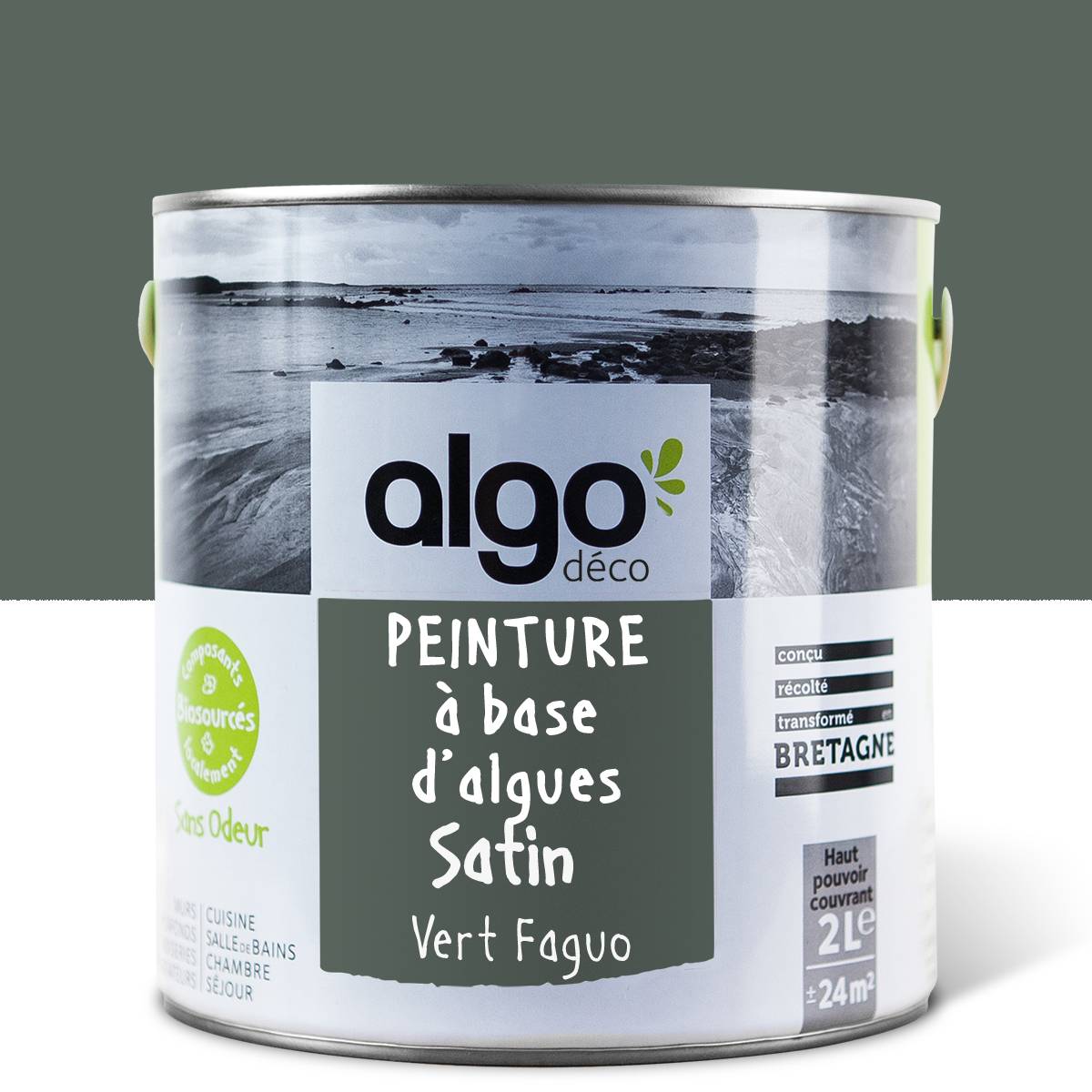 Algo Eco-Friendly Paint - Faguo Green FA06223