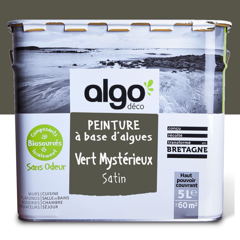 Algo Eco-Friendly Paint - Mysterious Green