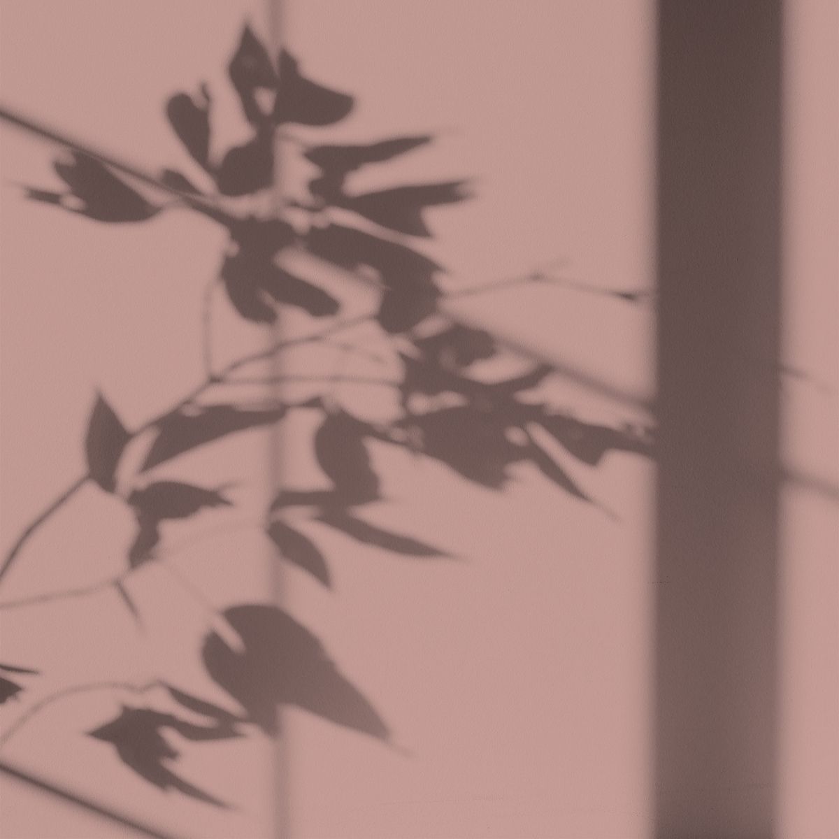 Algo Eco-Friendly Paint - Aurore Pink