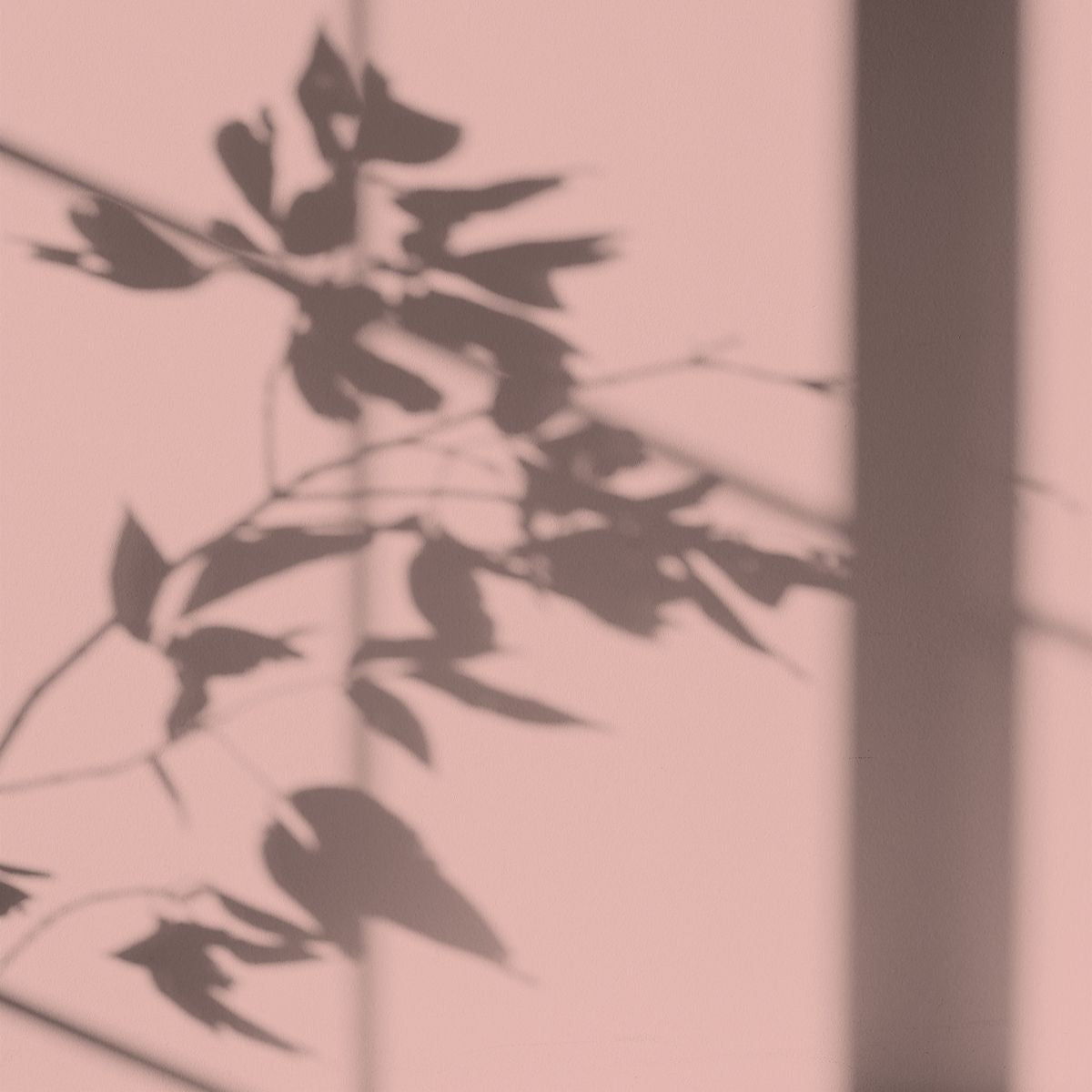 Algo Eco-Friendly Paint - Bora Bora Pink