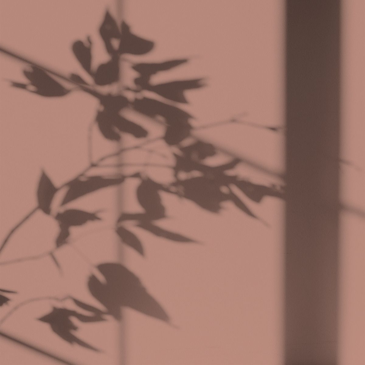 Algo Eco-Friendly Paint - Bréhat Pink