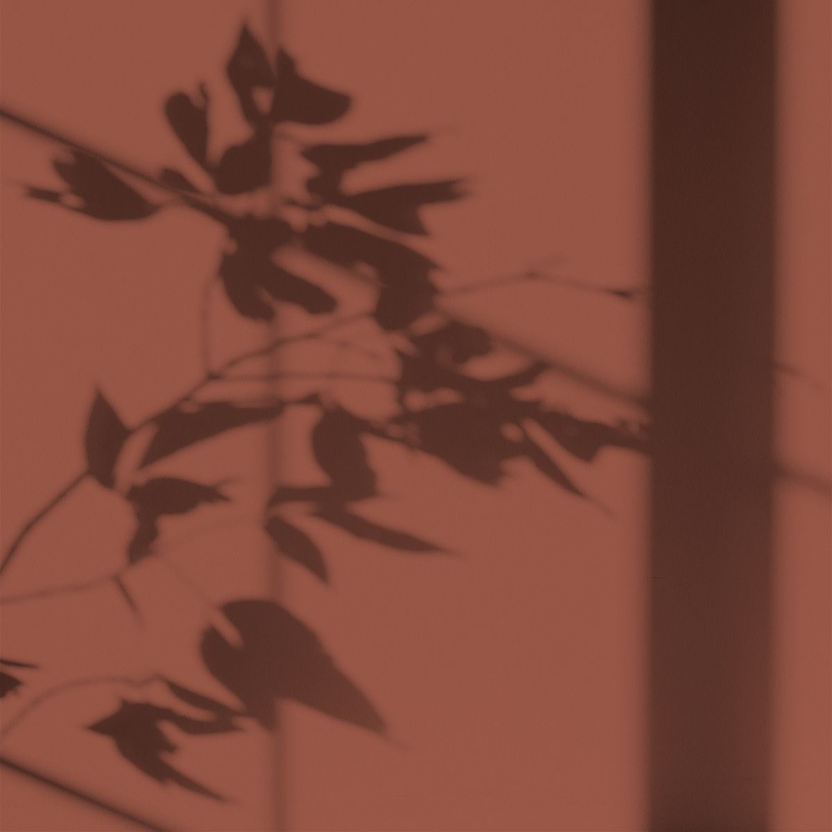 Algo Eco-Friendly Paint - Terracotta Madagascar