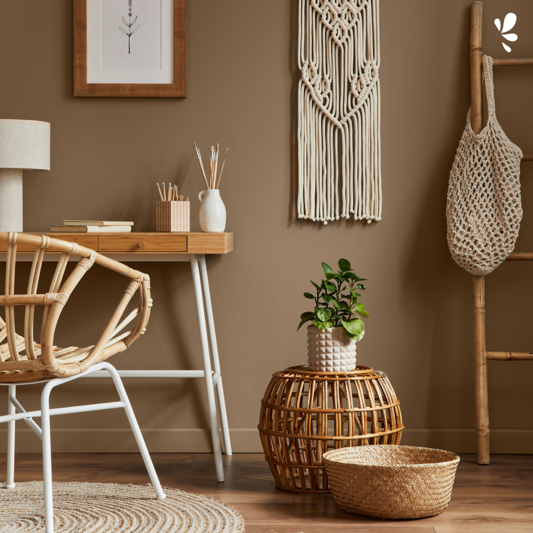 Algo Eco-Friendly Paint - Hazelnut Coffee Brown
