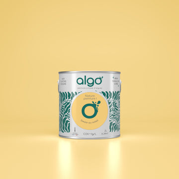 Algo Eco-Friendly Paint - Sun Nap Yellow