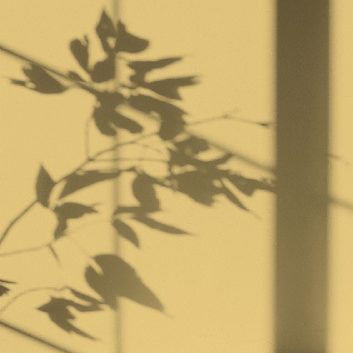 Algo Eco-Friendly Paint - Sun Nap Yellow
