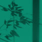 Algo Eco-Friendly Paint - Algae Green