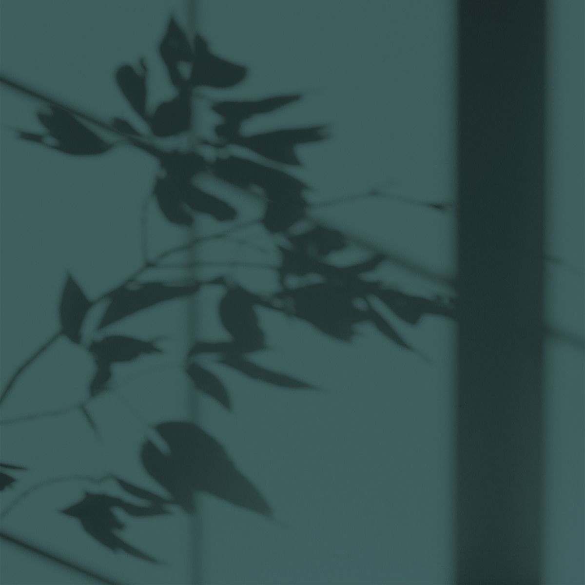 Algo Eco-Friendly Paint - Peacock Green