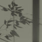Algo Eco-Friendly Paint - Landes Sage Green
