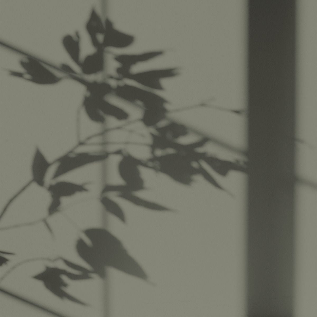 Algo Eco-Friendly Paint - Landes Sage Green