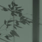 Algo Eco-Friendly Paint - Sequoia Green